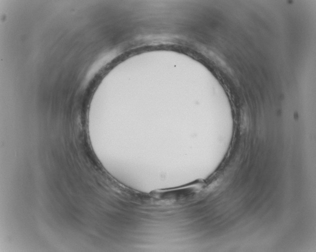 X0000069401261200606091733