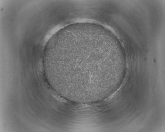 X0000069401263200606091733