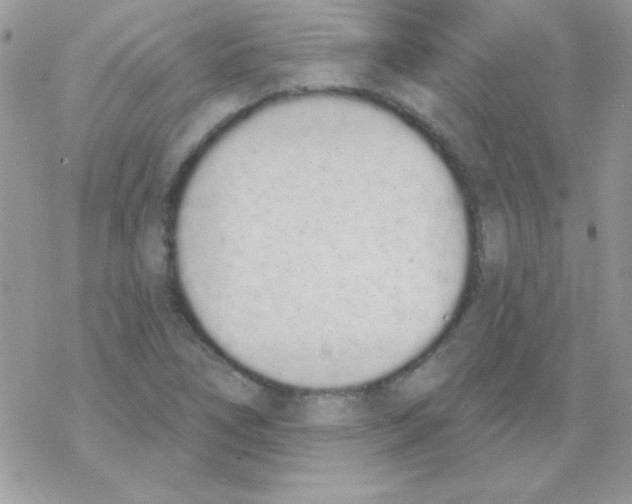 X0000069401266200606091733