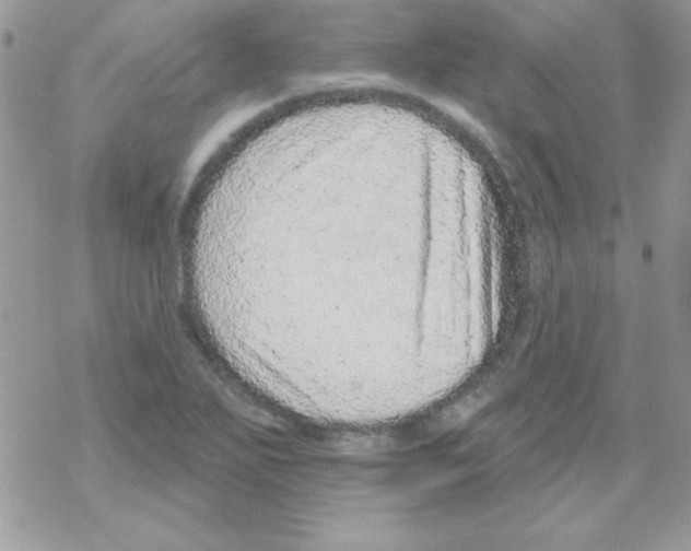 X0000069401271200606091732
