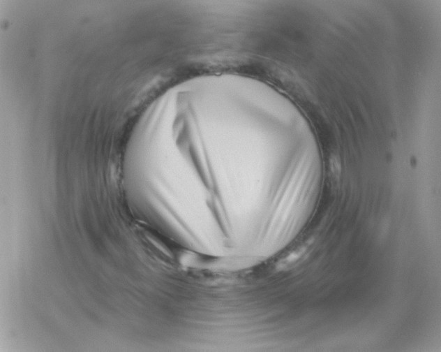 X0000069401300200606091731