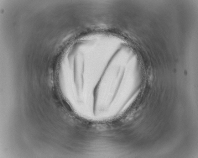 X0000069401301200606091731