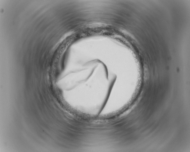 X0000069401305200606091731