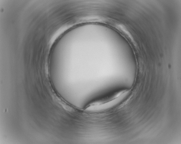 X0000069401328200606091732