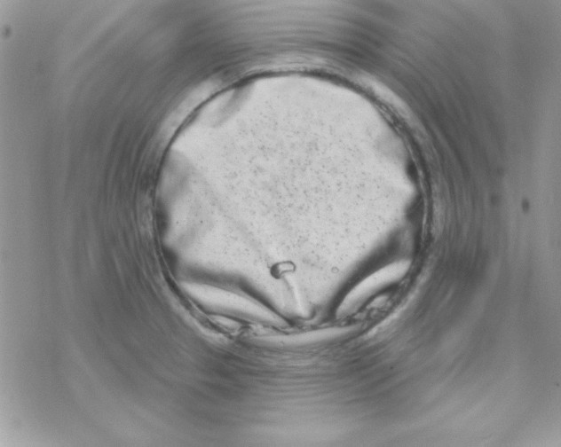 X0000069401329200606091732
