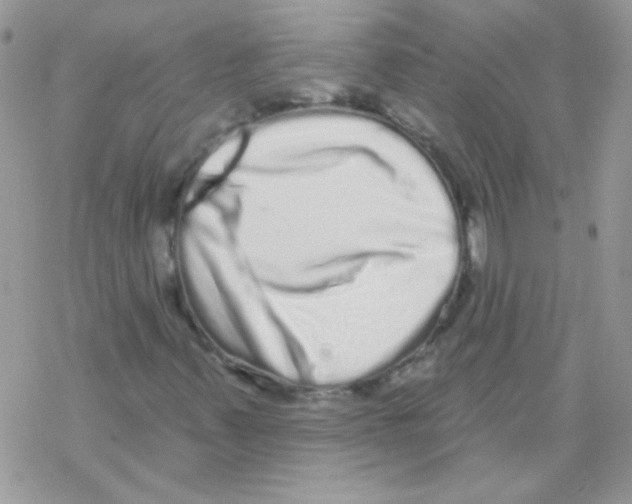 X0000069401347200606091731