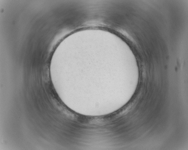 X0000069401358200606091731
