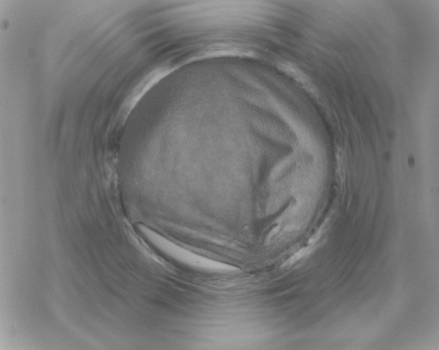 X0000069401369200606091731