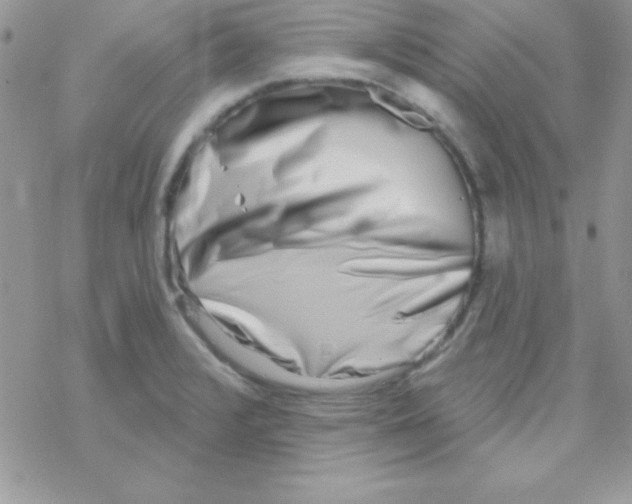 X0000069401376200606091731