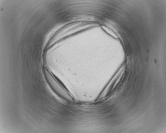 X0000069401379200606091731