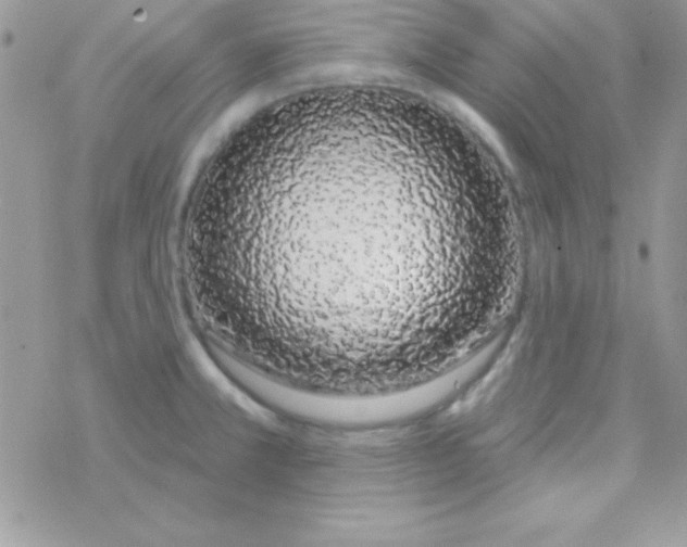 X0000069401381200606091731