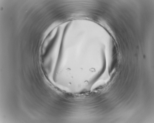 X0000069401386200606091731
