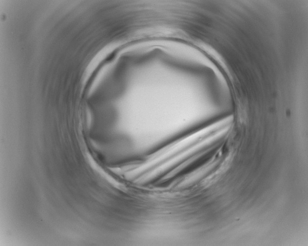 X0000069401389200606091731