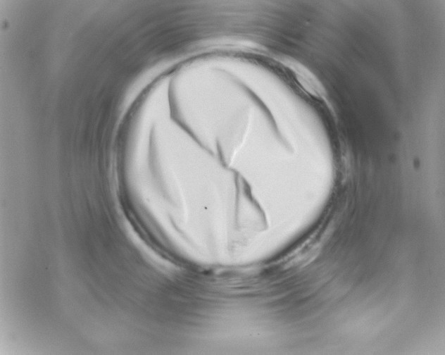 X0000069401391200606091730
