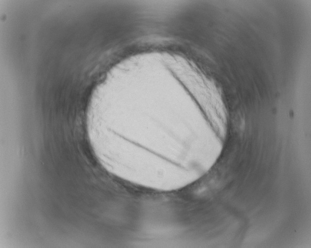 X0000069401397200606091730