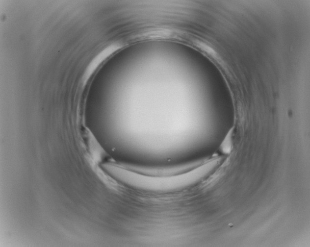 X0000069401426200606091730