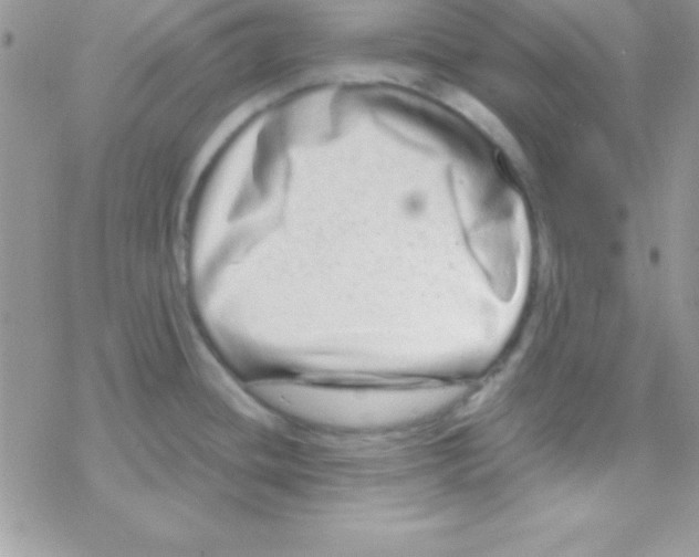 X0000069401436200606091730