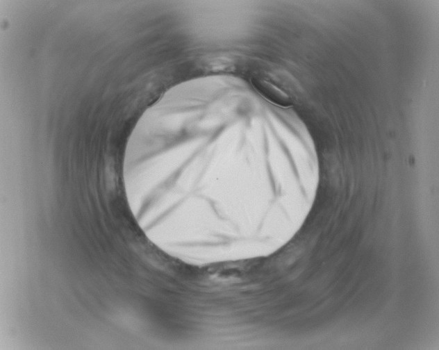 X0000069401442200606091730