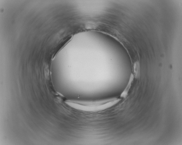 X0000069401443200606091730