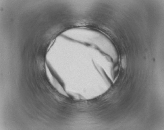 X0000069401444200606091730