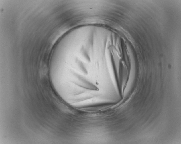 X0000069401465200606091729
