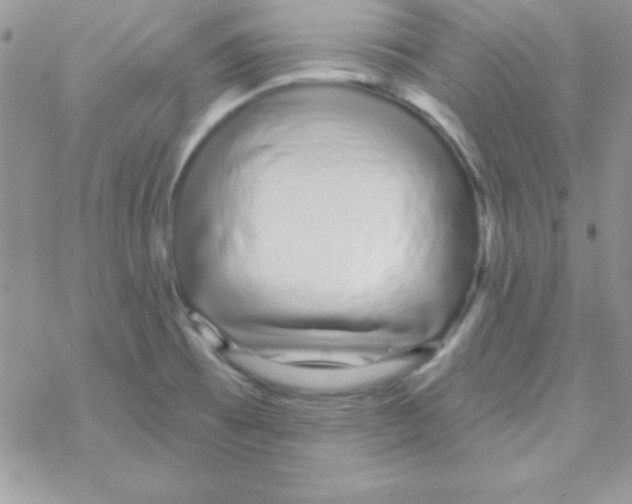X0000069401473200606091729