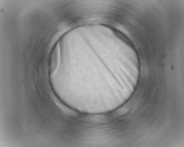 X0000069401474200606091729