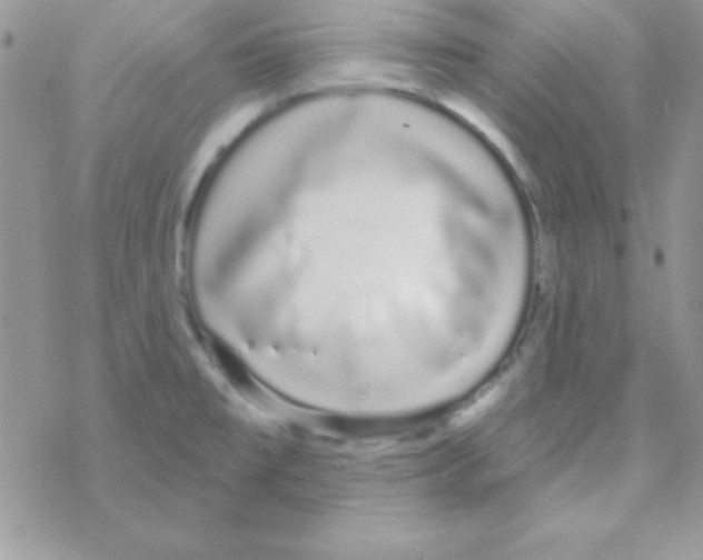 X0000069401477200606091729