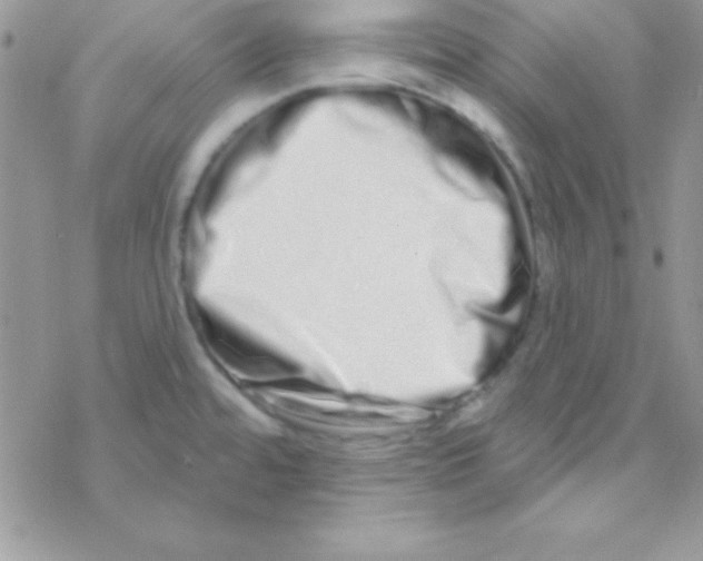 X0000069401480200606091729