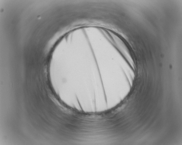 X0000069401503200606091728