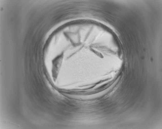 X0000069401534200606091729