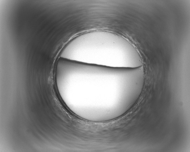 X0000069410002200605121101