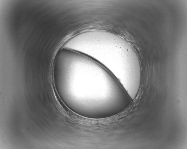 X0000069410003200605121101