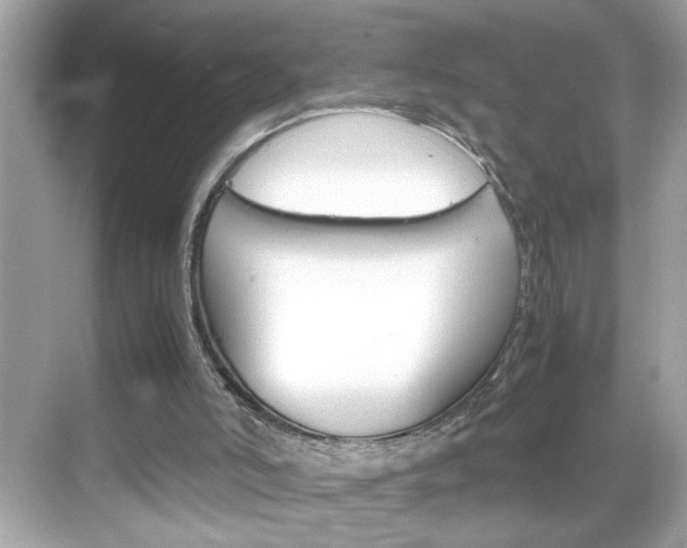 X0000069410006200605121101