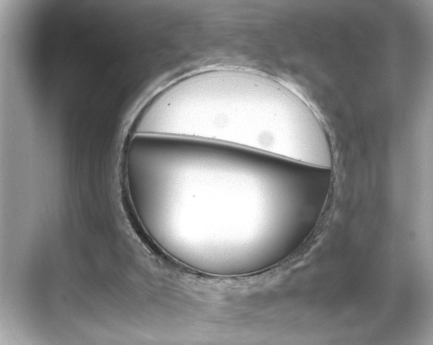 X0000069410007200605121101