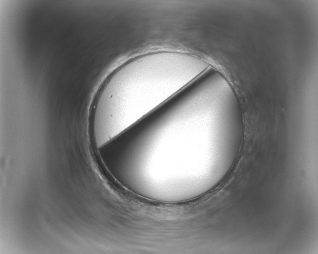 X0000069410008200605121101