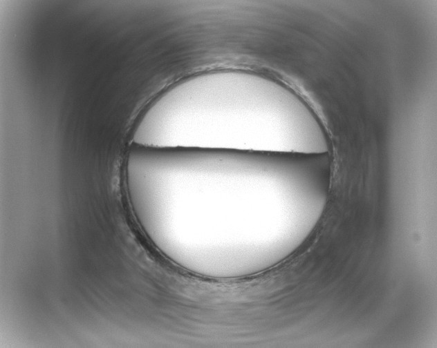 X0000069410010200605121101