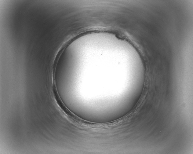 X0000069410011200605121101