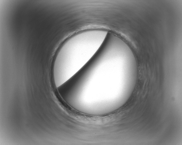 X0000069410015200605121101
