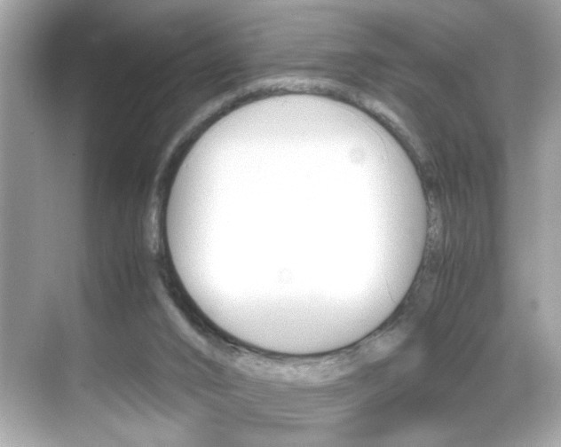 X0000069410016200605121101