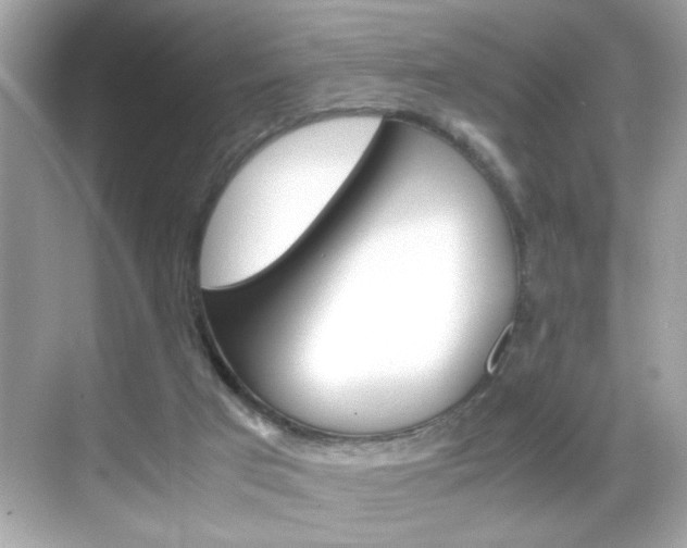 X0000069410017200605121101