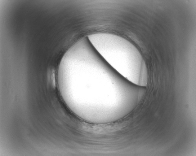 X0000069410022200605121100