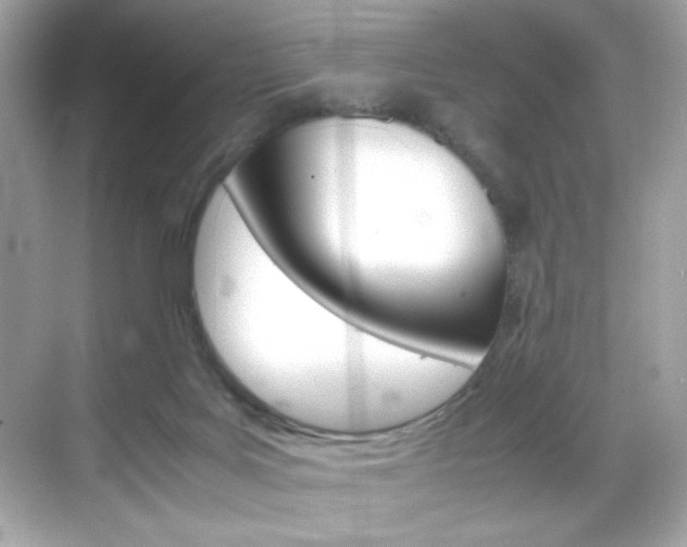 X0000069410027200605121100