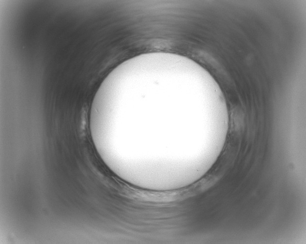 X0000069410032200605121100