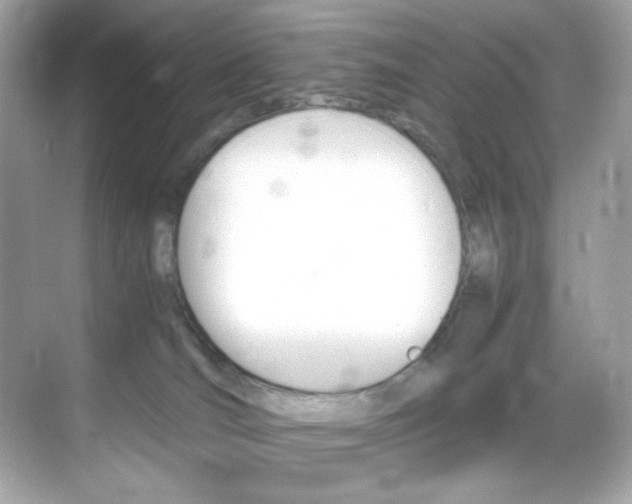 X0000069410036200605121100