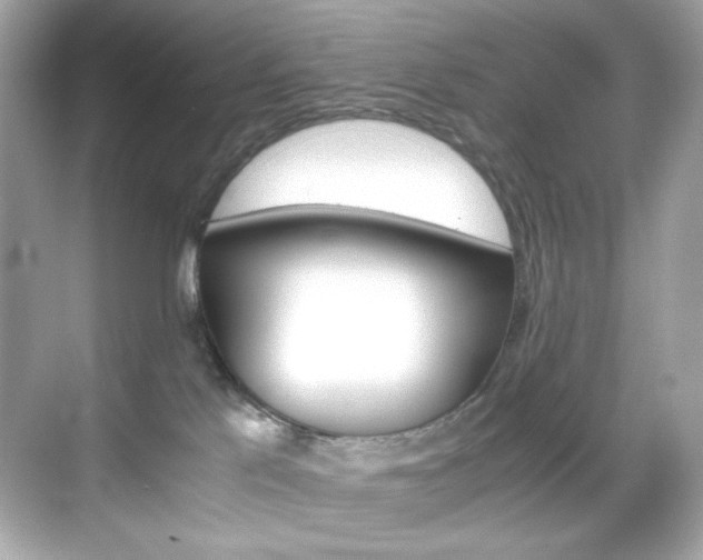 X0000069410041200605121100