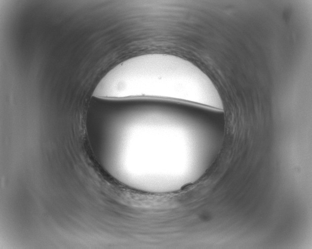 X0000069410044200605121100