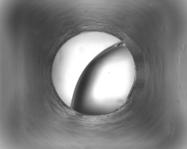X0000069410045200605121100