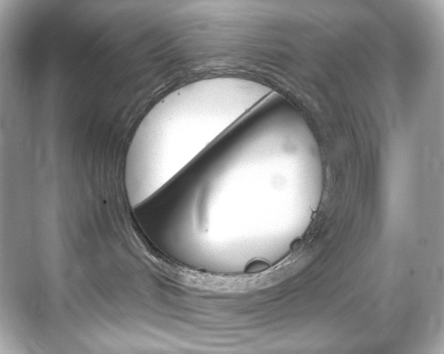 X0000069410048200605121100
