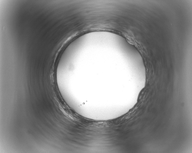 X0000069410050200605121059